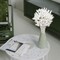 120 PCS White Dried Pampas Grass Decor, 17-inch Pompas Floral, Dry Flowers for Decoration, Pampas Grass in Bulk Tall, White Bunny Tails Dried Flowers for Boho Wedding
